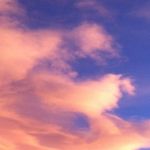 Profile Picture of Clint Kaluza (@kaluzaclint) on Instagram