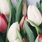 Profile Picture of Alice Brockman (@alice_brockman26) on Instagram