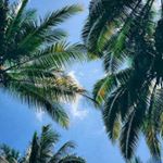 Profile Picture of Cesar Esparza (@cesar_snapzy) on Instagram