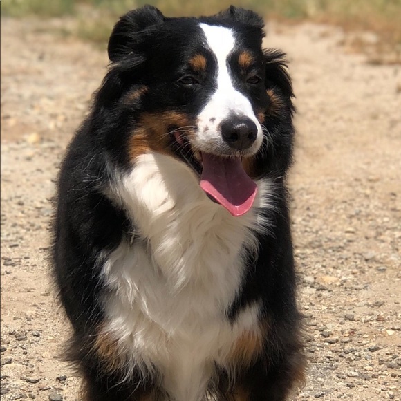 Profile Picture of Blake Fisher (@blakefisher22) on Poshmark