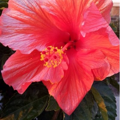 Profile Picture of Cindy Linder (@cindylouwho1957) on Twitter