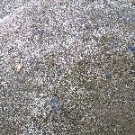 Profile Picture of kellicass (@kellicass) on Instagram