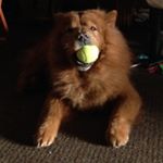 Profile Picture of Kimo Kealoha (@kimo.kealoha) on Instagram