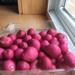 Profile Picture of James Spychalla (@James-Spychalla) on Facebook