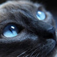 Zachary Blain - Quora Profile Picture of Zachary Blain (@zachary-blain-4) on Quora