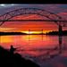 Profile Picture of Silva Marc (@fishlifeisgood) on Pinterest