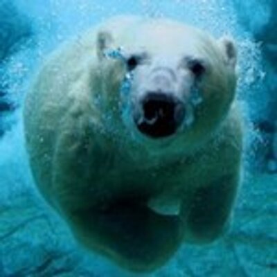 Profile Picture of Glotfelty Vanni-marc (@Mar35Vanni) on Twitter