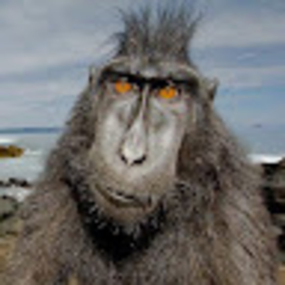 Profile Picture of Bryan Pavlovic (@bryanjpavlovic) on Poshmark