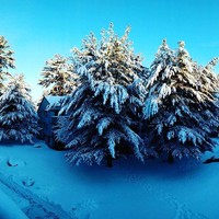 Priyanka Tiwari - Quora Profile Picture of Priyanka Tiwari (@priyanka-tiwari-14) on Quora