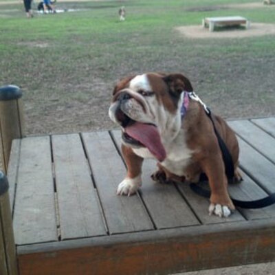 Profile Picture of Stephen Ankney (@steveankney10) on Twitter