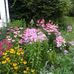 Profile Picture of Kim Caputo (@kim.caputo.35) on Facebook