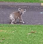 Profile Picture of Rita Batchelor (@rita.batchelor.79) on Facebook