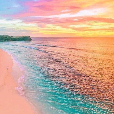 Profile Picture of Corey Alexander Acevedo Noriega (@noriega_corey) on Twitter