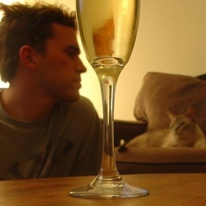 Profile Picture of Adam Suellentrop (@whydontyouplaythegame) on Myspace