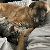 Profile Picture of James Colvin (@jamescolvin4584) on Youtube