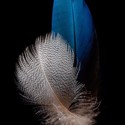 MikeRawFone - Twitter Profile Picture of MikeRawFone (@MikeRawFone) on Twitter