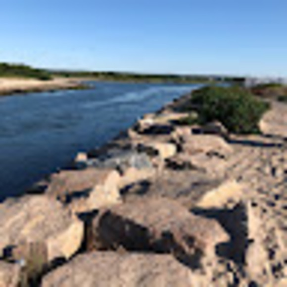 Profile Picture of Diane Collelo (@dianecollelo) on Poshmark