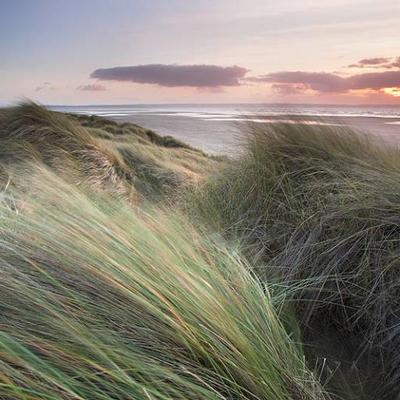 Profile Picture of Andrew Wheatley (@andrew_googl) on Twitter