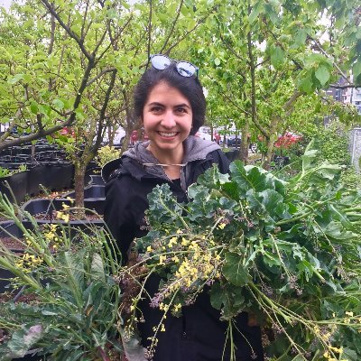 Profile Picture of Dena Javadi (@denajavadi) on Twitter