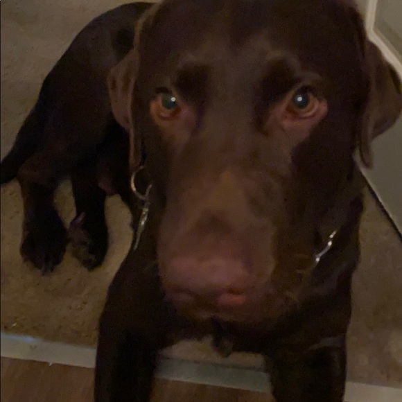 Profile Picture of Sharon Eggeling (@sharon_eggeling) on Poshmark