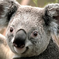 Profile Picture of Joseph Catlow (@joseph-catlow-1) on Quora