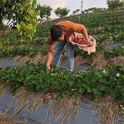 Profile Picture of Luc Hoang (@luchoang1987) on Youtube