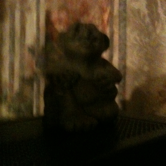 Charlene Deschaine - Poshmark Profile Picture of Charlene Deschaine (@starlene46) on Poshmark