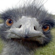 Profile Picture of Luc Poulin (@lucpoulin9913) on Youtube