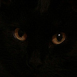 Profile Picture of Mihaela Vorvoreanu (@zencat7) on Flickr