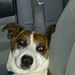 Profile Picture of Neil Palmquist (@snrp01) on Pinterest