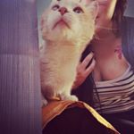 Profile Picture of Ester Rodríguez (@esterrodriguez746) on Instagram
