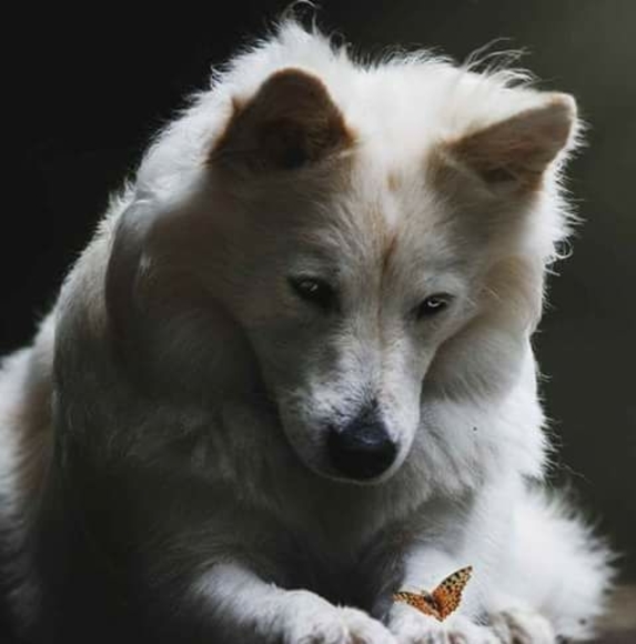 Profile Picture of Joan Leogrande (@siobhan_1964) on Poshmark