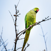 Profile Picture of Hussein Mustafa (@hohosezz00) on Youtube