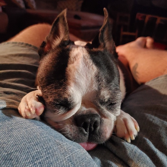 Profile Picture of Dane Lancaster (@dane7252) on Poshmark