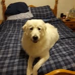 Profile Picture of Roxie McDaniel (@roxie.mcdaniel.5855) on Facebook