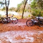 Profile Picture of Morton Barry (@mmountainbiker) on Instagram