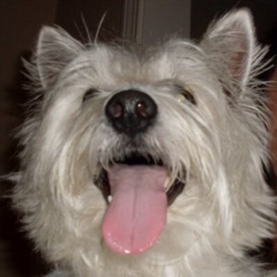 Profile Picture of Peter Gauvin (@pgauvin64) on Twitter