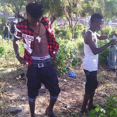 Profile Picture of Dick Bomba (@dick_bomba) on Twitter