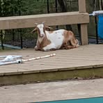 Profile Picture of Craig Casperson (@Highlife73) on Facebook