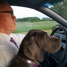 john meijer - Pinterest Profile Picture of john meijer (@johnmeijertenho) on Pinterest