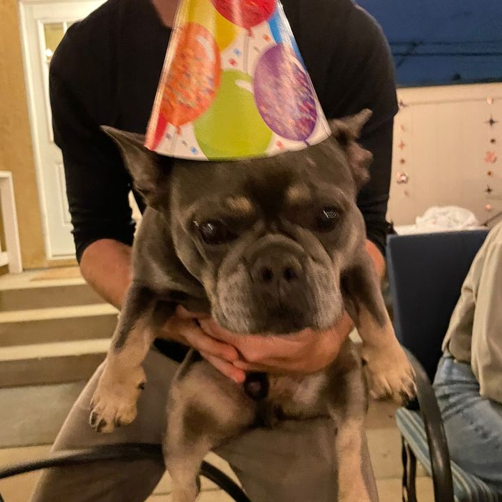 Profile Picture of Andrea Foglesong (@@radgirland) on Tiktok