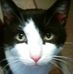 Profile Picture of Tammy Barber (@tammy.barber.1004) on Facebook