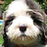 Profile Picture of Gerardo Massieu (@gerardo massieu) on Flickr