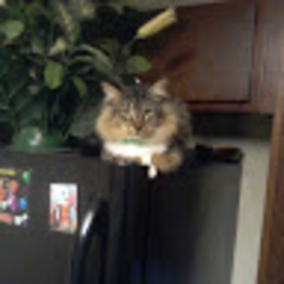 Profile Picture of Isse Adam (@issaadan1990s) on Poshmark