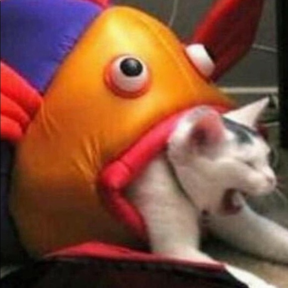 Profile Picture of Timothy Cochran (@jiggytim) on Poshmark