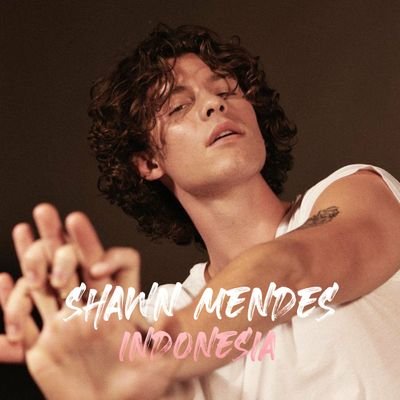 Profile Picture of Shawn Mendes Indonesia (@ShawnMendesIND) on Twitter