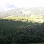 Penny Jacob - Instagram Profile Picture of Penny Jacob (@penny_jacob) on Instagram