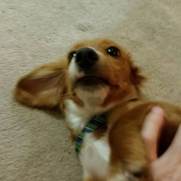 Profile Picture of Matthew Willoughby (@johnmw54) on Poshmark