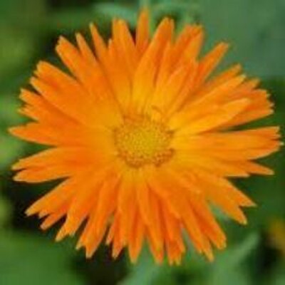 Profile Picture of Jacqueline Blum (@jacquib47) on Twitter