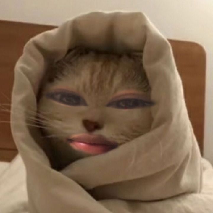 Profile Picture of arinael (@arinidl) on Tiktok